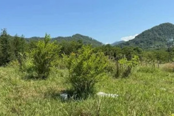 Ведение садоводства, 4,6 сот.